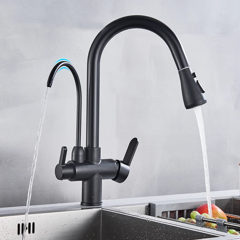 Purification Water Kitchen Faucet Black 360° Rotating Filter Water Faucets Pull Out Sprayer 3 Ways Hot Cold Water