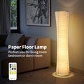 Paper floor lamp, paper and chrome-plated standing lamp, LED light strip
